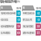 수익률,기업,미국,평가,시가총액,투자