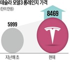 가격,테슬라,대비,전년,수요,매출