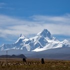 코로나19,티베트,중국,관광객