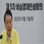 대통령,정부,피해