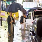 침수,피해,차량,서울,발생,폭우,대응,운행,이날,도로