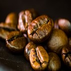 커피,브라질,올해,가격