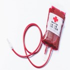 헌혈,스위스,제한,혈액