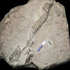 화석,공룡,화성,발견,연구,한국