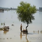파키스탄,홍수,피해,장관,상황,이번,기후,우기,인도,이크발