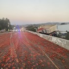 토마토,고속도로,차량