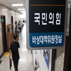 당헌,개정안,개정,대표