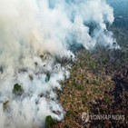 화재,아마존,발생,브라질,데이터,건수