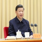 중국,공산당,실수,문화대혁명,시진핑,주석,전략적