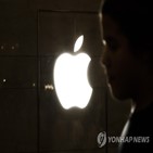 아이폰14,애플,주가,하락,수요