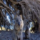 폐사,동물원,호주