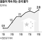 중국,돼지고기,상승률,가격