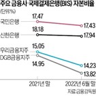 신종자본증권,발행,규모,이자,금융사