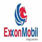 엑손모빌,반영