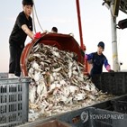 어획량,조업,중국,한중,어업협상