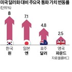 환율,투자자,환헤지,정부,전망,지난달,한국