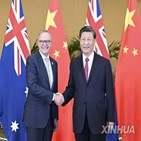중국,호주,최대,수입