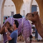 낙타,관광객,카타르,월드컵,알리,하루