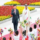 중국,아랍,협력,관계,발전,보고서