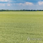 NASA,점령지,우크라이나,밀밭