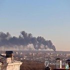 우크라이나,공격,러시아,드론,무기,흑해함대