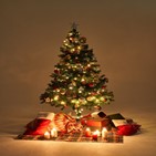 크리스마스트리,나무,사람,크리스마스,독일