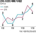 작년,거래,아파트,거래량,급매물,잠실동,매수