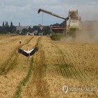 곡물,가격,우크라이나,지난해,지속,러시아,부셸,전망,전쟁