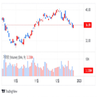 결항,사우스웨스트,항공,항공편