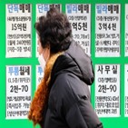 부동산,서울시,현장,신고,점검