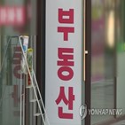 점검,서울시,신고,현장,부동산