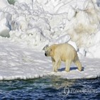 북극곰,공격,알래스카,사람