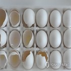 달걀,뉴질랜드,금지