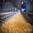 대두,중국,지난해,생산,전년,농업농촌부
