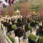 묘지,베이징,가격,중국,사망자