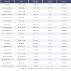 외국인,카카오뱅크