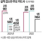 카드사,순이익,카드,충당금,지난해,소비,금리