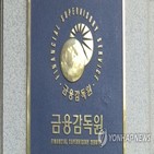 심사,금감원,출시,외국펀드,상품