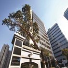 개선,코리안리,부문,손해율