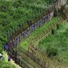 DMZ,비무장지대,국경,한반도,나라,가장,역설