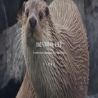 DMZ,구글,야생동물,한국