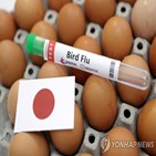 계란,조류인플루엔자,일본