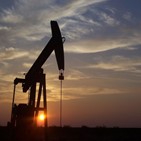 석유기업,지난해,화석연료,블룸버그,미국