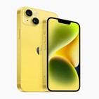 애플,색상,출시,아이폰14,아이폰,노란