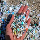 플라스틱,오염,바다,해양,증가,변화