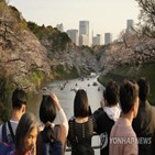 벚꽃,일본,기상청,도쿄,올해,경제효과