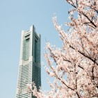 벚꽃,숙소,호텔,서울,객실