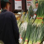 대파,수준,재배면적