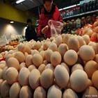 가격,계란,상승,중국,역대,확산