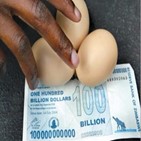 짐바브웨,화폐,달러,자국